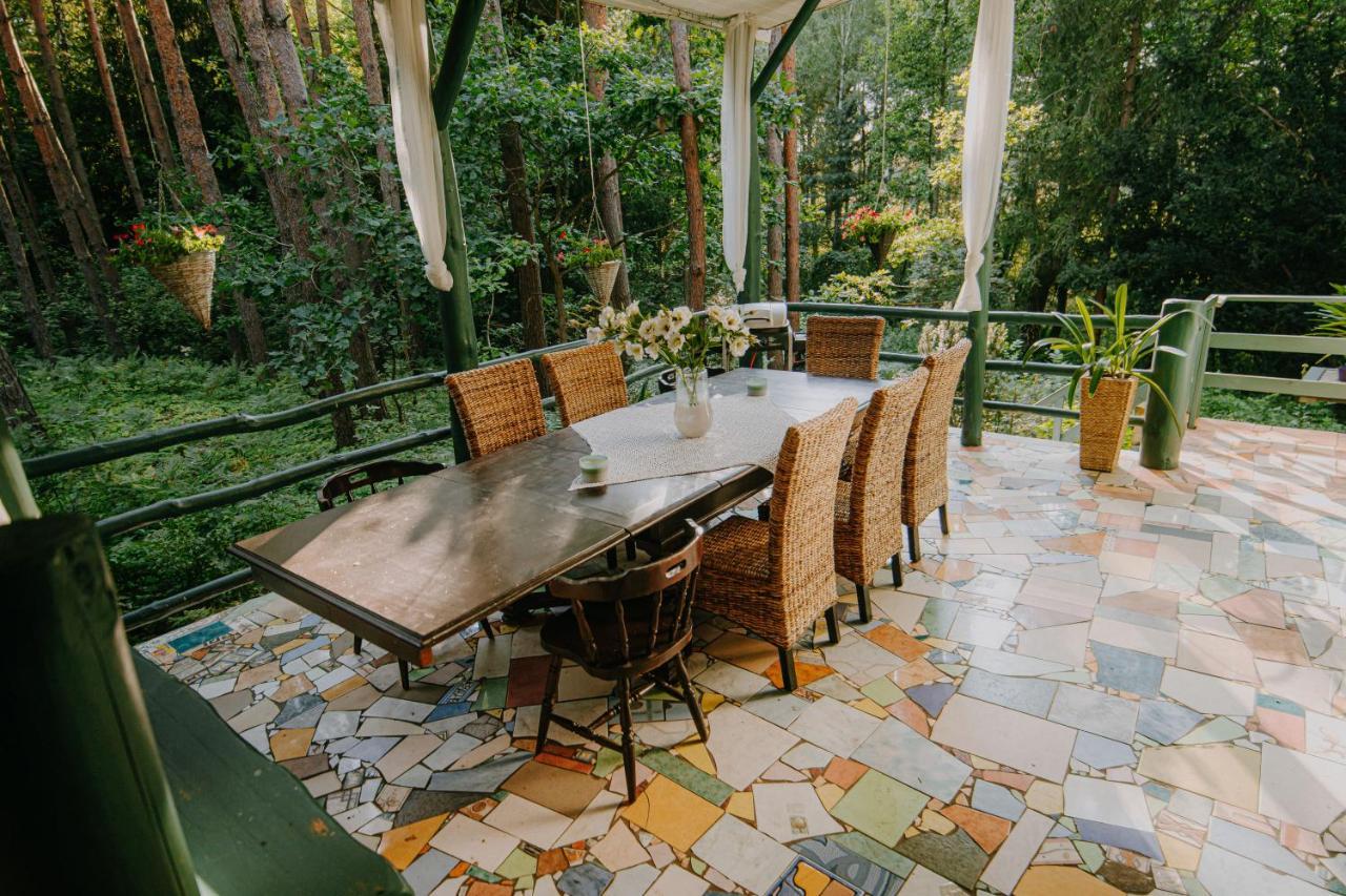 Zacisze Lesne Nad Pilica Bed & Breakfast Спала Екстериор снимка