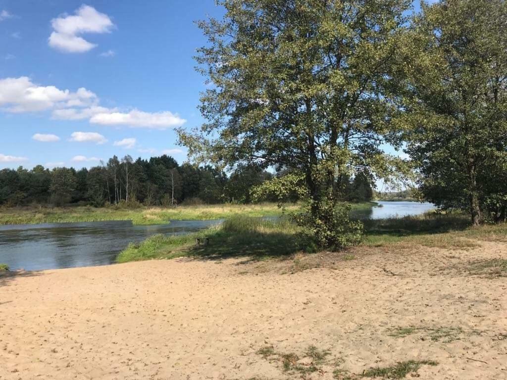 Zacisze Lesne Nad Pilica Bed & Breakfast Спала Екстериор снимка