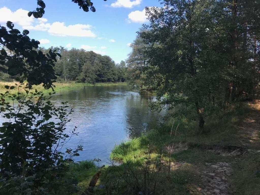 Zacisze Lesne Nad Pilica Bed & Breakfast Спала Екстериор снимка